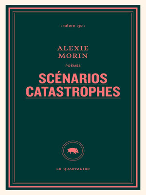 cover image of Scénarios catastrophes